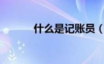 什么是记账员（记账员是什么）