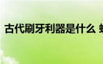 古代刷牙利器是什么 蚂蚁庄园古代刷牙利器