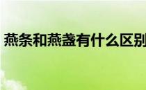 燕条和燕盏有什么区别（燕条和燕盏的区别）