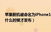 苹果新机被命名为iPhone12mini是怎么回事（iPhone12什么时候才发布）