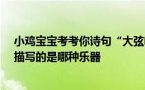 小鸡宝宝考考你诗句“大弦嘈嘈如急雨，小弦切切如私语”描写的是哪种乐器