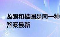 龙眼和桂圆是同一种水果吗 蚂蚁庄园8月9日答案最新
