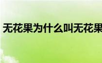 无花果为什么叫无花果（无花果名字的由来）