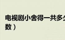 电视剧小舍得一共多少集（电视剧小舍得总集数）