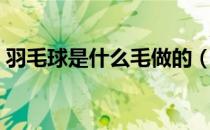 羽毛球是什么毛做的（羽毛球是哪种毛做的）