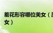 羞花形容哪位美女（历史上用羞花形容哪位美女）