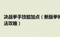 决战拳手技能加点（新版拳师加点技能参考 叠点穴打爆发手法攻略）