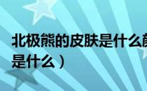 北极熊的皮肤是什么颜色（北极熊的皮肤颜色是什么）