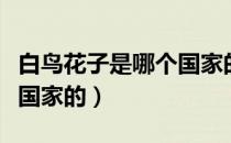 白鸟花子是哪个国家的品牌（白鸟花子是哪个国家的）