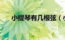 小提琴有几根弦（小提琴有多少根弦）