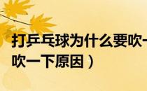 打乒乓球为什么要吹一下（打乒乓球为什么要吹一下原因）