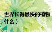 世界长得最快的植物（世界长得最快的植物是什么）