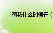 荷花什么时候开（荷花的开花时间）