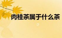 肉桂茶属于什么茶（肉桂茶是什么茶）