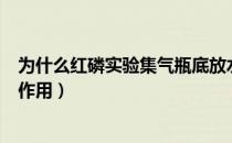为什么红磷实验集气瓶底放水（红磷燃烧实验集气瓶中水的作用）