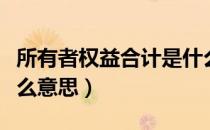所有者权益合计是什么（所有者权益合计是什么意思）