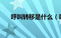 呼叫转移是什么（呼叫转移什么意思）