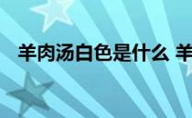 羊肉汤白色是什么 羊肉汤白色是什么东西
