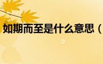 如期而至是什么意思（如期而至是什么成语）