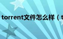 torrent文件怎么样（torrent文件怎么打开）