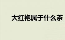 大红袍属于什么茶（大红袍是什么茶）