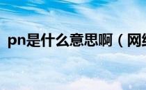 pn是什么意思啊（网络上pn是什么意思啊）