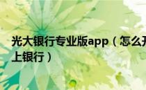 光大银行专业版app（怎么开通光大银行大众版和专业版网上银行）