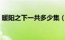 暖阳之下一共多少集（暖阳之下总共多少集）