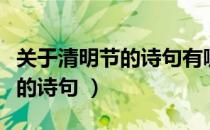 关于清明节的诗句有哪些（有哪些描写清明节的诗句 ）