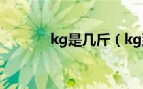 kg是几斤（kg到底是是几斤）