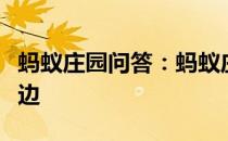 蚂蚁庄园问答：蚂蚁庄园食用油长期放在灶台边