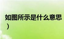 如图所示是什么意思（如图所示代表什么意思）