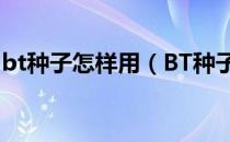 bt种子怎样用（BT种子文件的两种使用方法）