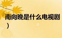 南向晚是什么电视剧（南向晚出自什么电视剧）