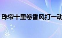 珠帘十里卷香风打一动物（珠帘十里卷春风）