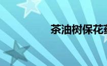 茶油树保花药（茶油树）
