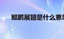 鲲鹏展翅是什么意思（鲲鹏展翅解释）