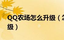 QQ农场怎么升级（怎么能让QQ农场快速升级）