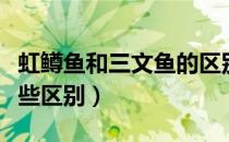 虹鳟鱼和三文鱼的区别（虹鳟鱼和三文鱼有哪些区别）