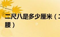 二尺八是多少厘米（二尺八是多少厘米多大的腰）