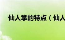 仙人掌的特点（仙人掌的特点简单介绍）
