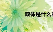 政体是什么意思（政体）