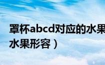 罩杯abcd对应的水果（罩杯abcd怎么分大小水果形容）