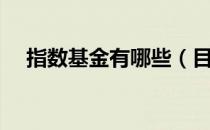 指数基金有哪些（目前指数基金有哪些）