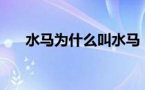 水马为什么叫水马（水马是什么意思）
