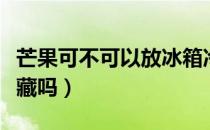 芒果可不可以放冰箱冷藏（芒果可以放冰箱冷藏吗）