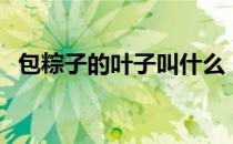 包粽子的叶子叫什么（包粽子用什么叶子）