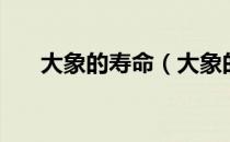 大象的寿命（大象的寿命约为多少年）