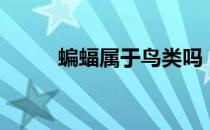 蝙蝠属于鸟类吗（蝙蝠是鸟类吗）