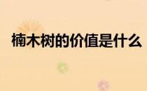 楠木树的价值是什么（楠木树有哪些价值）